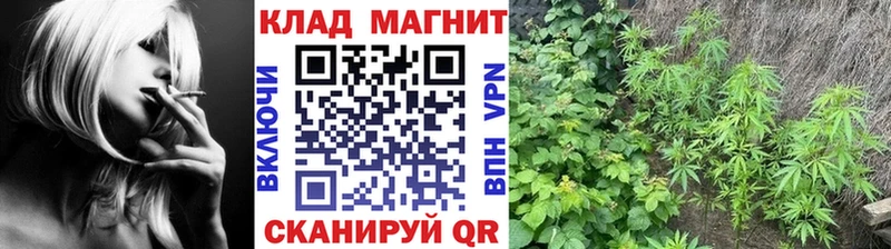 Купить закладку Свободный Cocaine  МАРИХУАНА  Alpha-PVP  Гашиш  АМФЕТАМИН  Мефедрон 