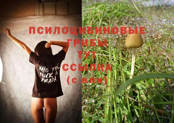 ECSTASY Белокуриха