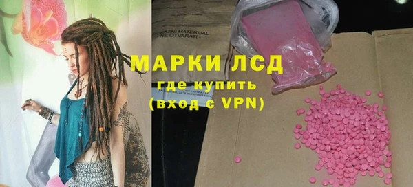 ECSTASY Белокуриха