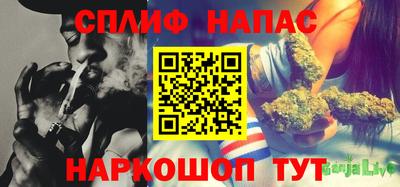 спиды Можга