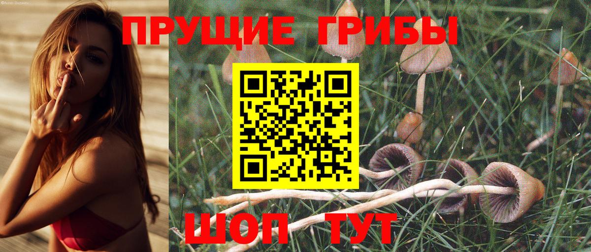 продажа наркотиков  Галлюциногенные грибы Cubensis  Вход с VPN  Свободный 